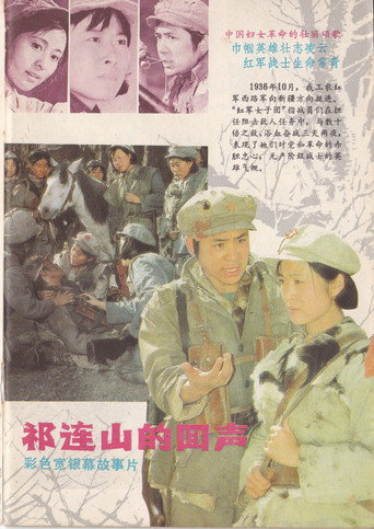 祁连山的回声海报