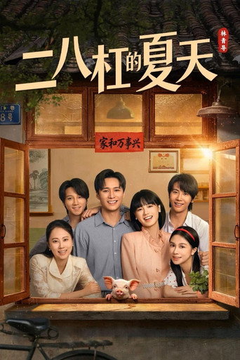 二八杠的夏天海报