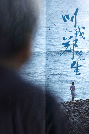 叫我郑先生海报