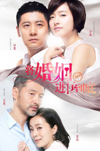 将婚姻进行到底海报