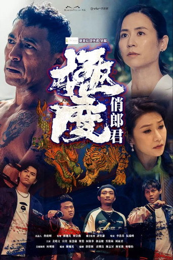 极度俏郎君海报