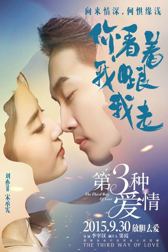 第三种爱情海报