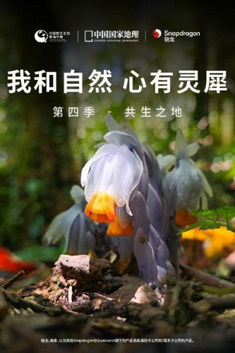 我和自然 心有灵犀 第四季 - 共生之地海报