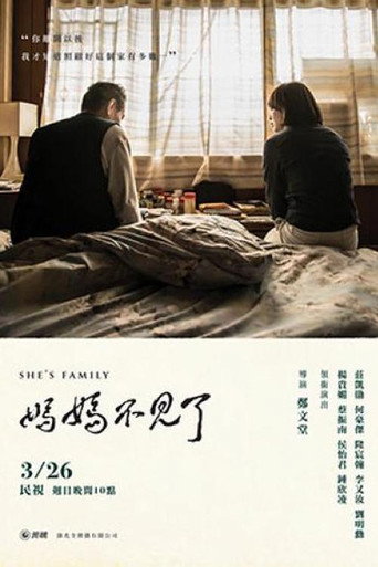 妈妈不见了海报