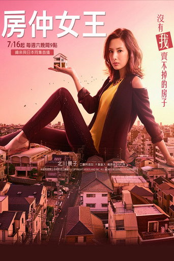 卖房子的女人海报