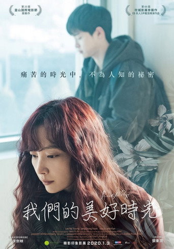 美丽的日子海报