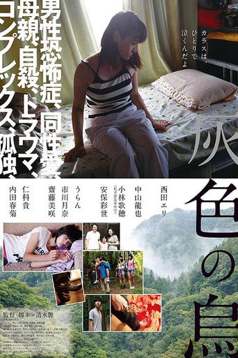 灰色乌鸦海报