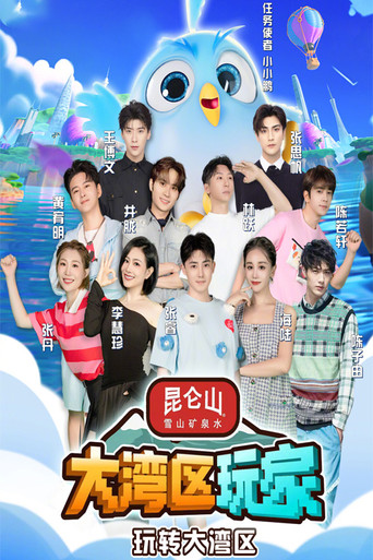 大湾区玩家海报