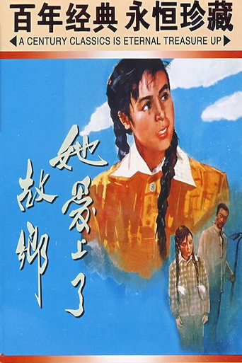 她爱上了故乡海报