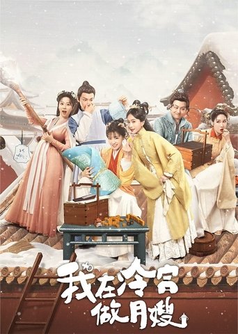 我在冷宫做月嫂海报