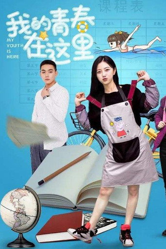 我的青春在这里海报