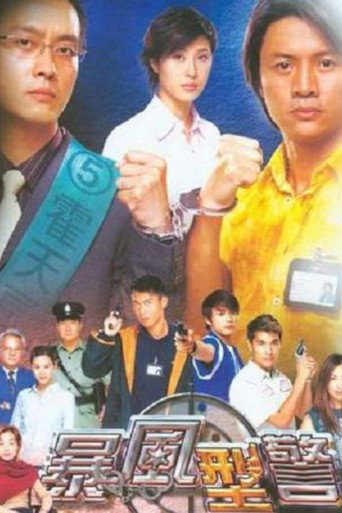 暴风刑警海报