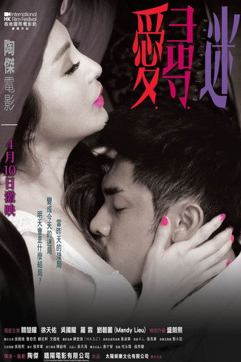 爱寻迷海报