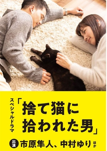 被流浪猫捡到的男人海报