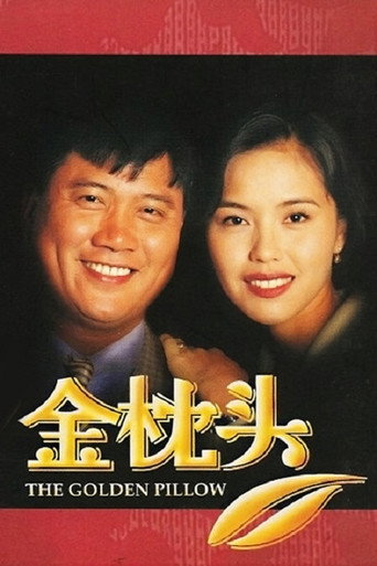 金枕头海报