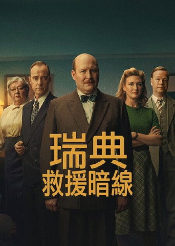 瑞典救援暗线海报