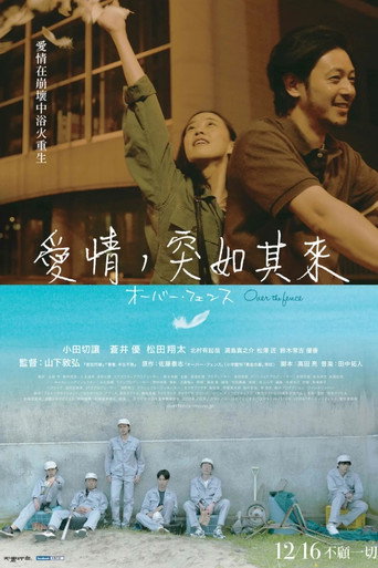 跨越栅栏海报