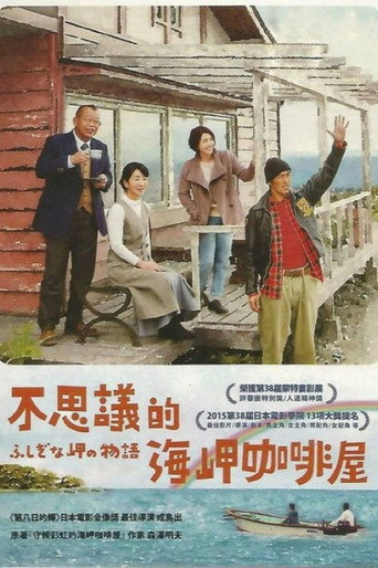 不可思议的海岸物语海报