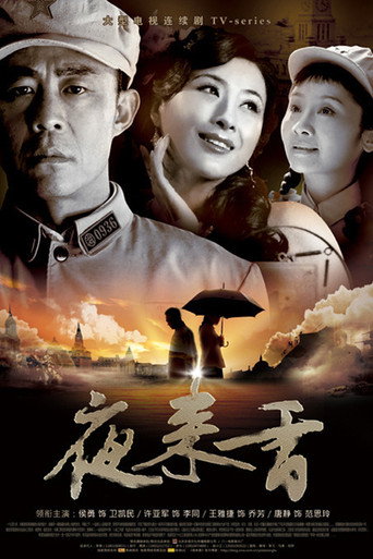 夜来香海报