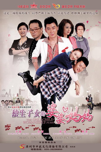 独生子女的婆婆妈妈海报