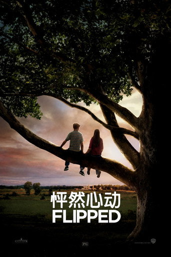 怦然心动海报