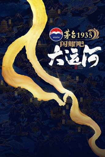 闪耀吧！大运河海报