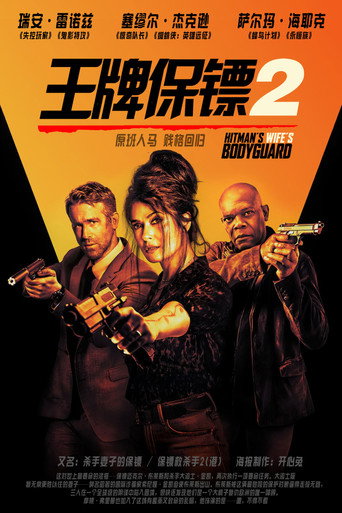 王牌保镖2海报
