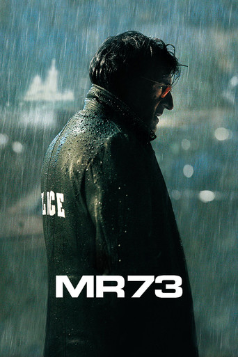 MR73左轮枪海报
