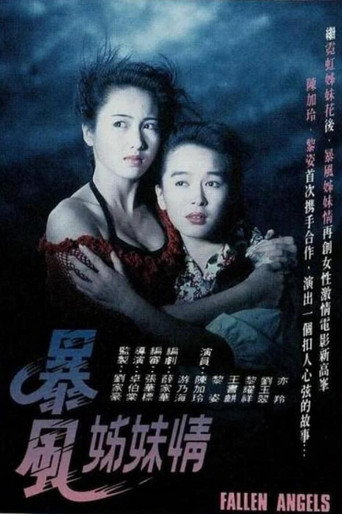 暴风姊妹情海报