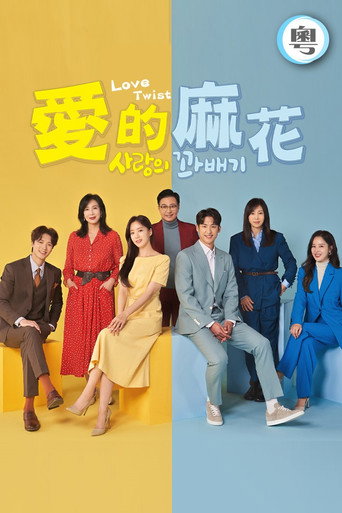 爱的麻花海报