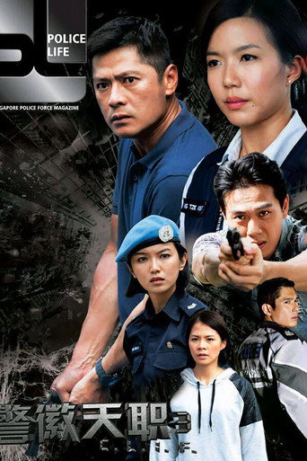 警徽天职 第 3 季海报