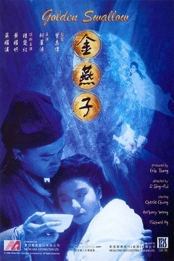 金燕子海报