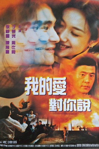 忽然丈夫海报