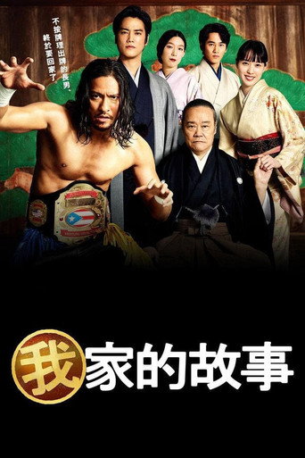 我家的故事海报