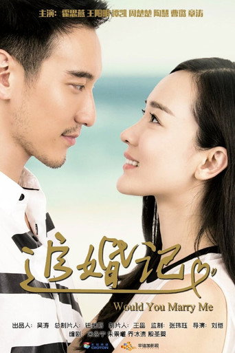 追婚记海报