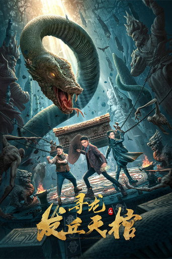 寻龙之发丘天棺海报