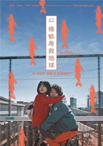 鲶鱼美琪海报