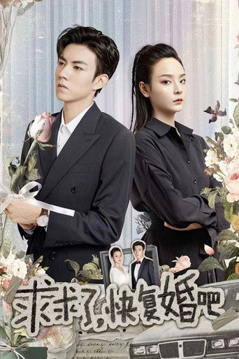 求求了，快复婚吧海报