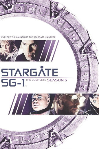 星际之门：SG-1 第 5 季海报