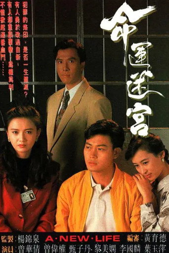 命运迷宫海报