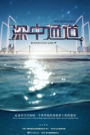 深中通道 Season 1海报