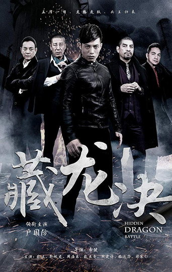 卧虎悍将海报