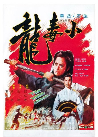 小毒龙海报