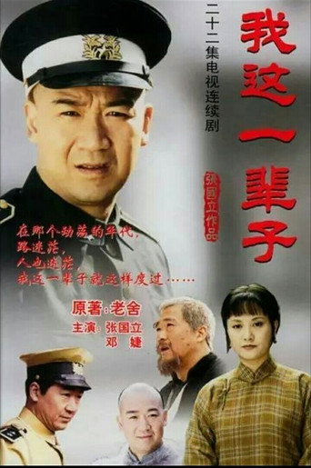 我这一辈子海报