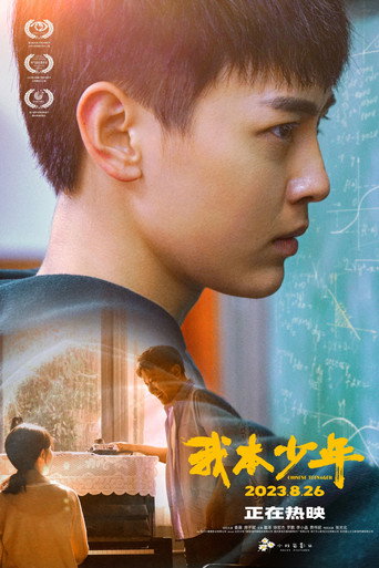 我本少年海报