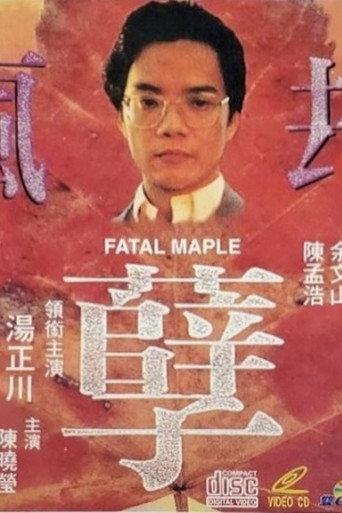 疯孽劫海报