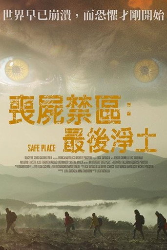 安全区海报