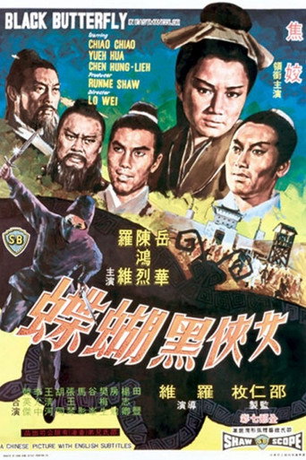 女侠黑蝴蝶海报