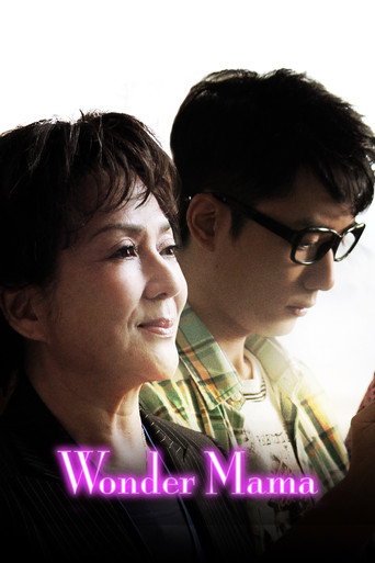 妈咪侠海报