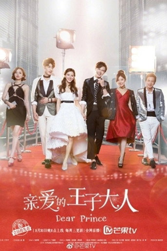亲爱的王子大人海报